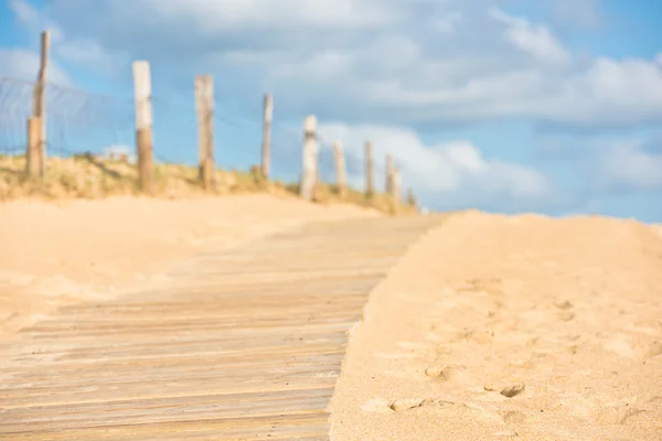 Sanddynerna på ocean beach — Stockfoto