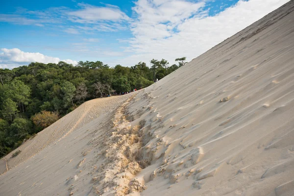 La plus haute dune d'Europe — Photo