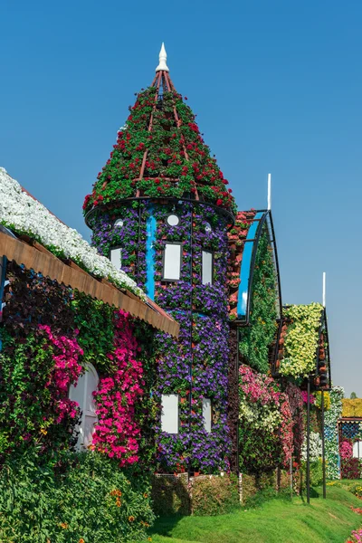 百万人以上の花を持つドバイ奇跡の庭 — ストック写真