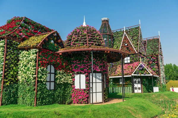 Jardin miracle de Dubaï avec plus de millions de fleurs — Photo