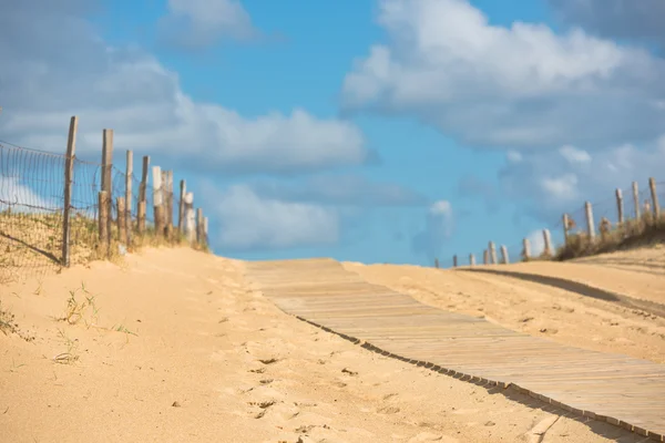 Wooden footpath through dunes — Stock Photo, Image