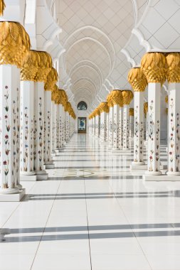 Sheikh zayed beyaz Camii 