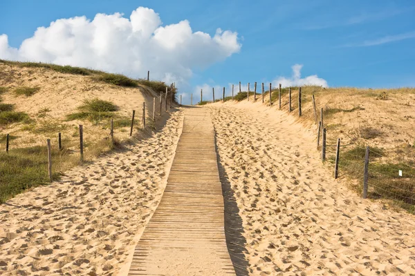 Houten wandelpad door de duinen — Stockfoto