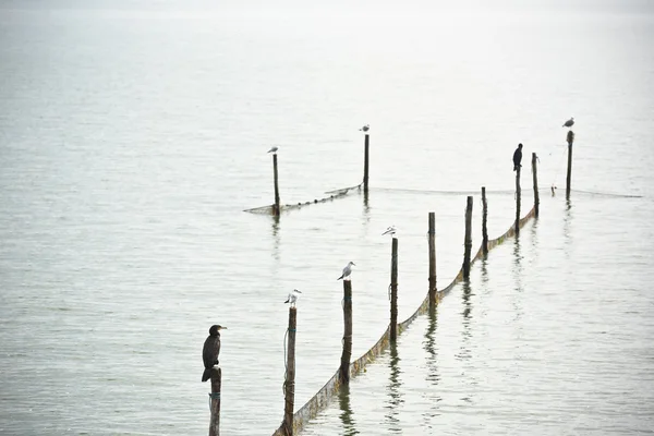 Noord Zee landschap — Stockfoto