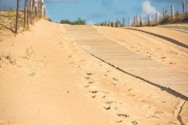 Wooden footpath through dunes — Stock Photo, Image