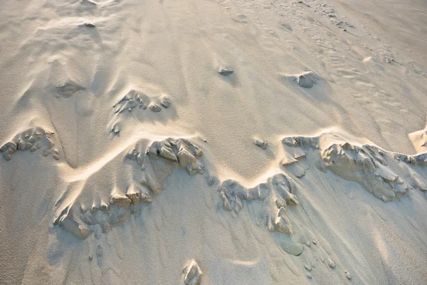 Самая высокая дюна Европы — стоковое фото