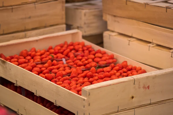 Natürliche Erdbeeren im Karton — Stockfoto