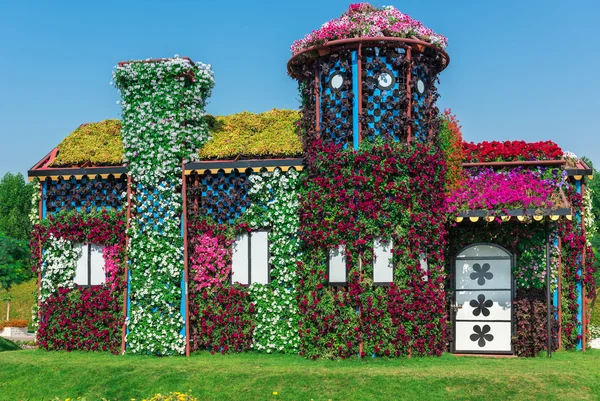 Dubai jardim milagroso com mais de milhões de flores — Fotografia de Stock