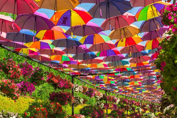 Barevné deštníky v Dubaji — Stock fotografie