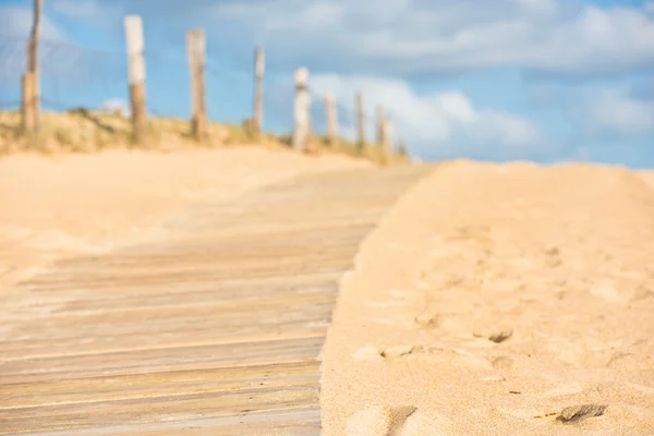 Trä gångväg genom sanddyner — Stockfoto