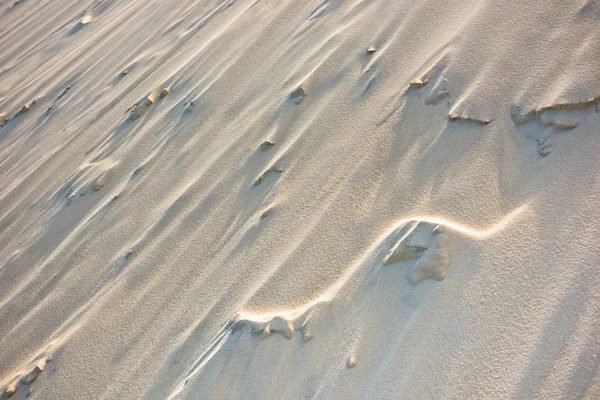 La dune de Pyla, la plus haute dune d'Europe — Photo