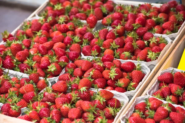 Natural strawberries in boxes — Stock Photo, Image