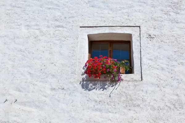 Окно с красочными цветами на белой стене — стоковое фото