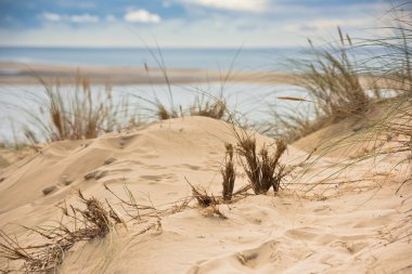 Arcachon Bay görünümünü