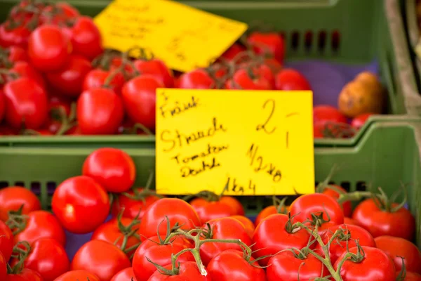 Přírodní rajčata na farmářský trh — Stock fotografie