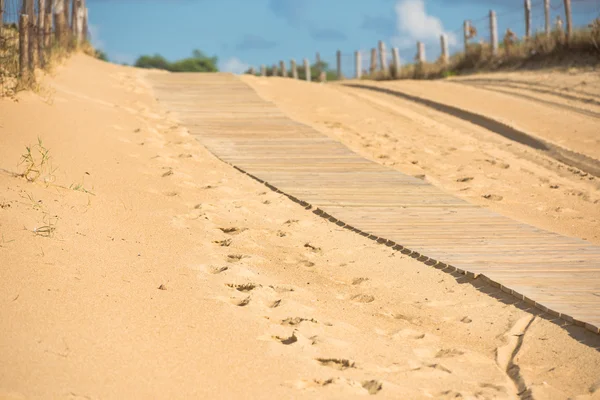 Trä gångväg genom sanddyner — Stockfoto