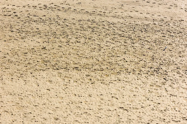 Lidské stopy na písku — Stock fotografie