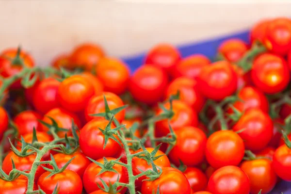 Tomates naturales en el mercado de los agricultores — Foto de Stock