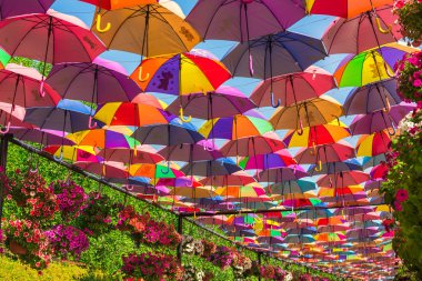 Dubai mucize Bahçe şemsiye