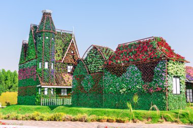 dubai mucize bahçesi