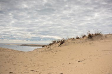 Arcachon Bay görünümünü