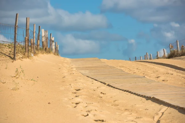 Houten wandelpad door de duinen — Stockfoto