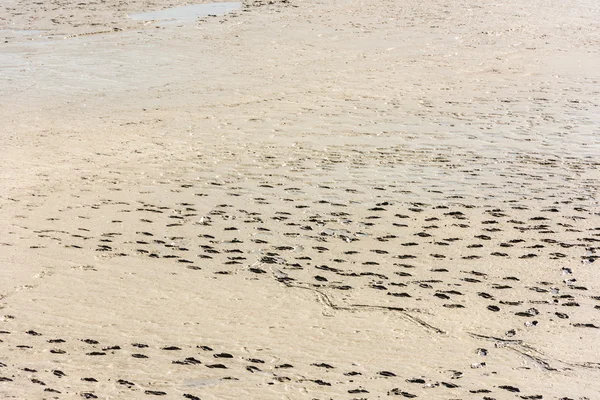 Empreintes humaines sur le sable — Photo