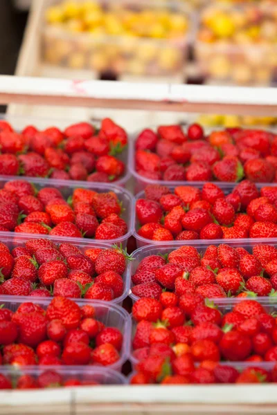 Naturerdbeeren auf Bauernmarkt — Stockfoto