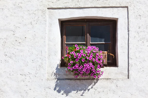 Fenêtre avec des fleurs colorées — Photo