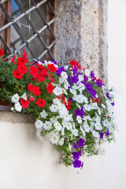 pencere renkli çiçekli