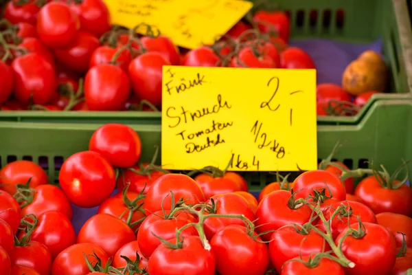 Přírodní rajčata na farmářský trh — Stock fotografie