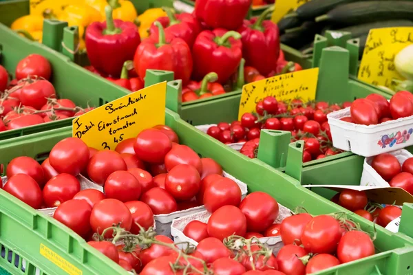 天然番茄对农民的市场 — 图库照片
