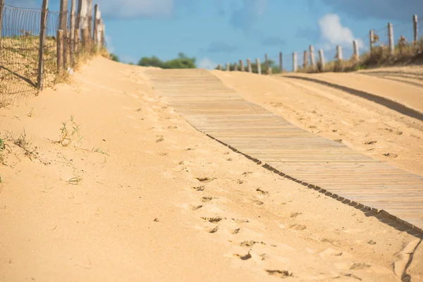 砂丘で木製の歩道 — ストック写真