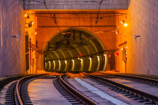 Tunneleinfahrt auf der Brücke von dom luiz — Stockfoto