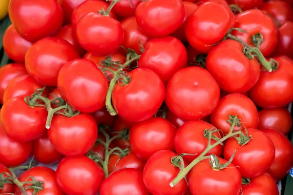 Natural tomatoes on farmer's market — Stock Photo, Image