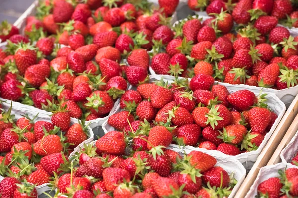 Natural strawberries at farmers market — Stock Photo, Image