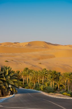 Çöl dunes Liwa vahasında