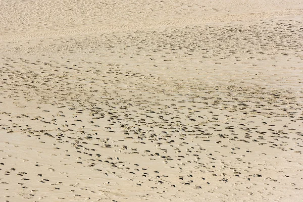 Menschliche Fußabdrücke im Sand — Stockfoto