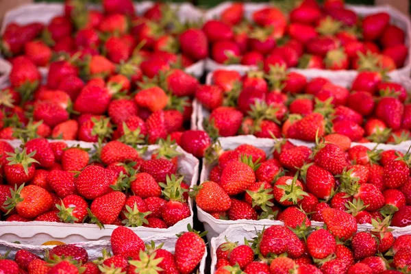 Natural strawberries at farmers market — Stock Photo, Image