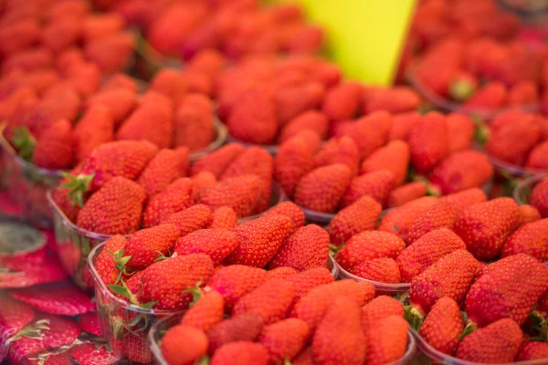 Natural strawberries at farmers market — Stock Photo, Image