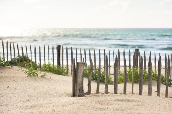 Clôture en bois sur la plage de l'Atlantique — Photo