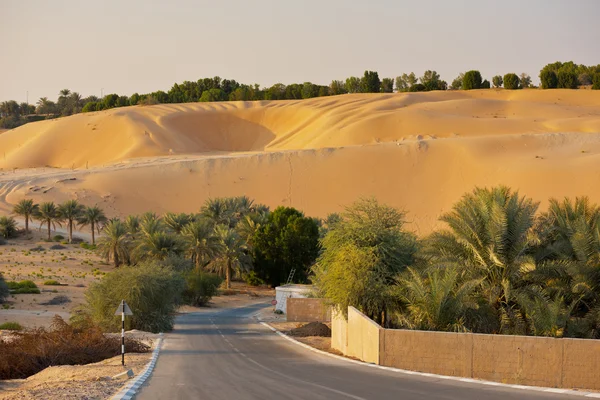 Dunas del desierto en el oasis de Liwa — Foto de Stock