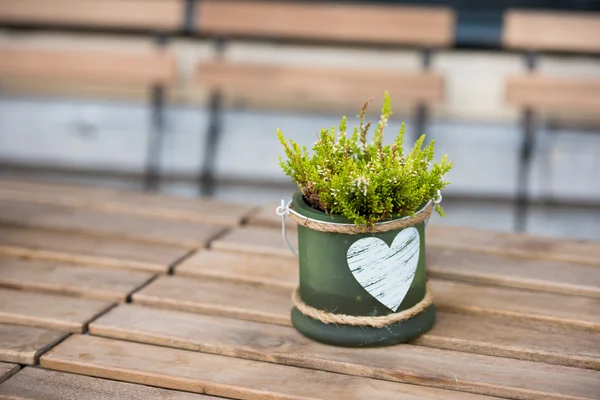 Panela verde com flor e coração — Fotografia de Stock