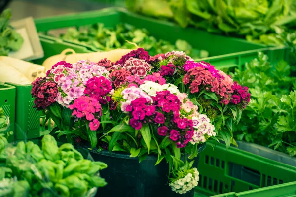 香石竹花在市场 — 图库照片