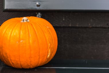 turuncu bir kaldırım arka plan üzerinde kabak