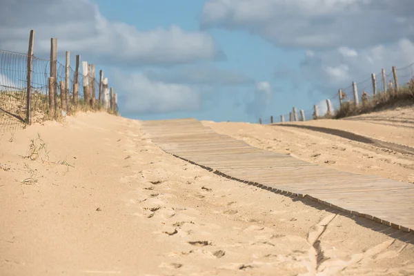 Wooden footpath through dunes — Stock Photo, Image