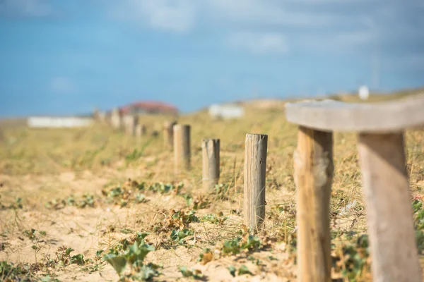 Houten hek op Atlantische strand — Stockfoto