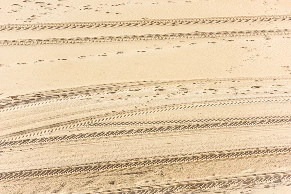 Spår av bilar på sanden — Stockfoto
