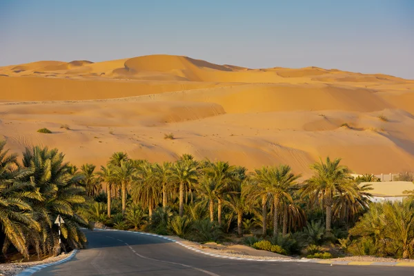 Duinen van de woestijn in Liwa oase — Stockfoto