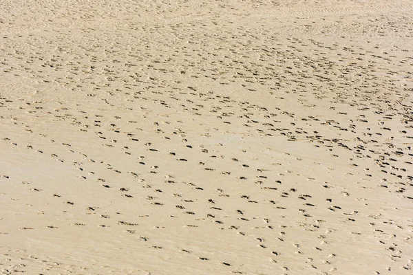 Menschliche Fußabdrücke im Sand — Stockfoto